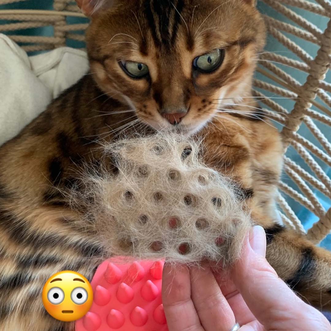 Get Crafty with Cat Fur and Make Something