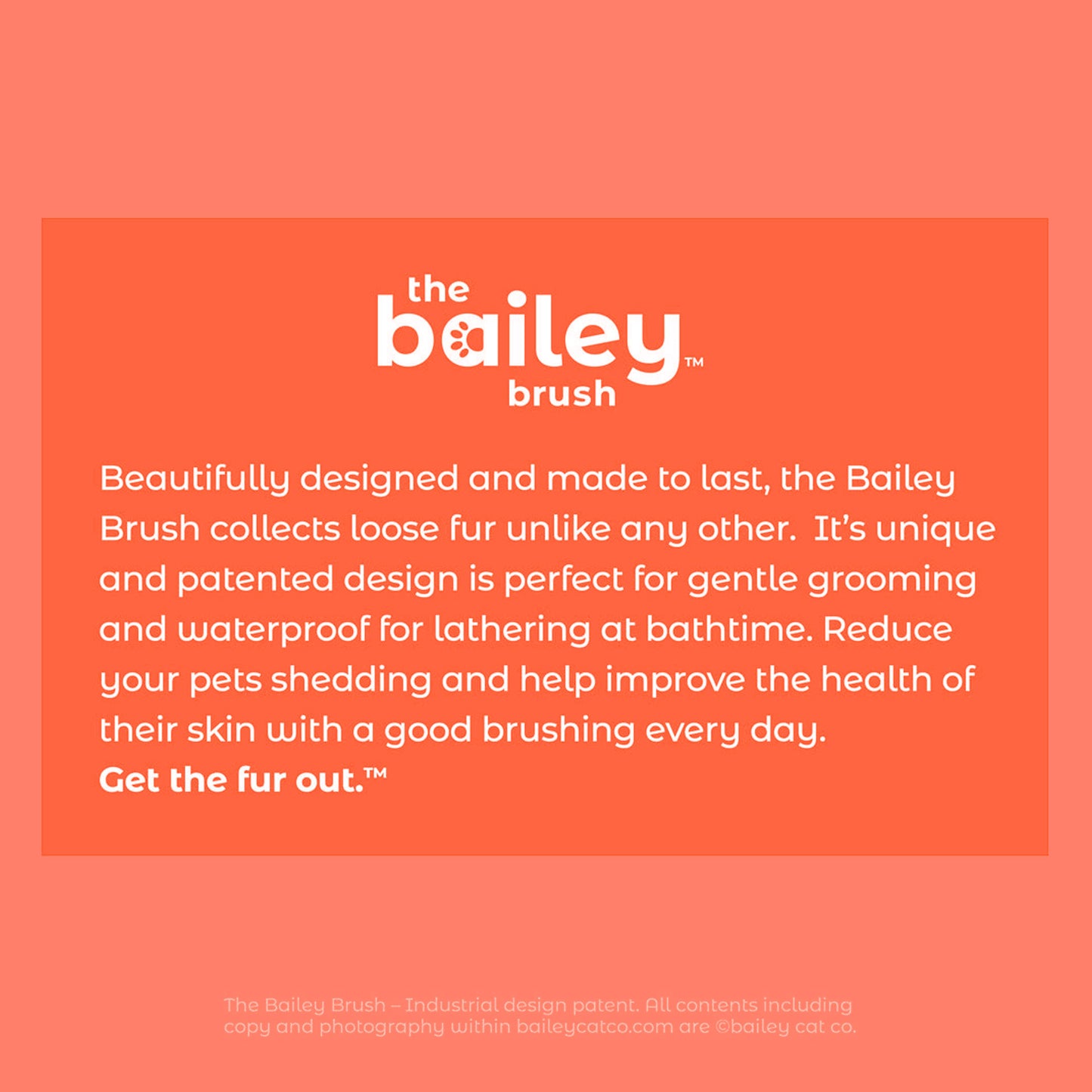 Bailey Brush™ Calm Cat Whisperer Signature Series