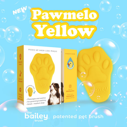 Bailey Brush Pawmelo Yellow Dog Brush (Case of 32)