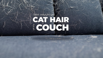 how to remove cat hair from furniture title screen of a cat hair covered couch