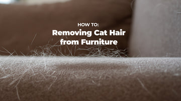How to Removing Cat Hair from Furniture - Cat Hair floating on top of a couch