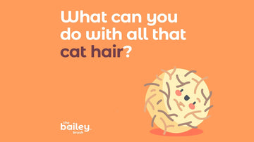 What can you do with cat hair?