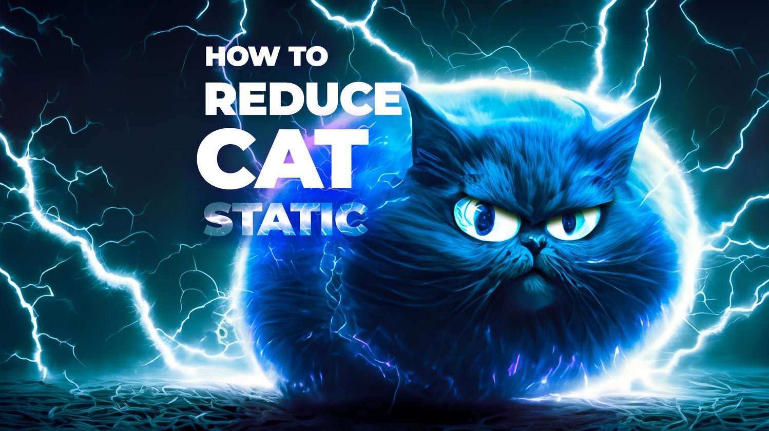 7 Tips To Remove Static From Your Cat Safe – TGIPE