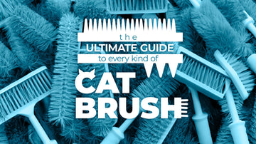 ultimate guide to cat brushes feature image lots of blue brushes piled together