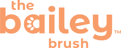 The Bailey Brush Logo in Orange