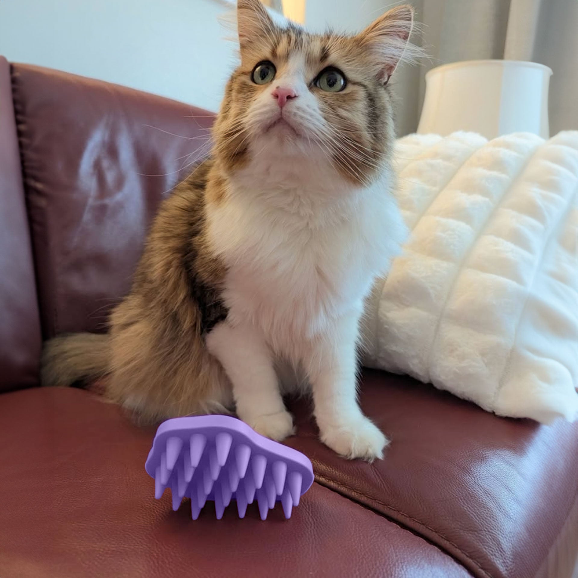 Bailey Brush™ Lavenpurr – Dog Cat Grooming Brush for Shedding