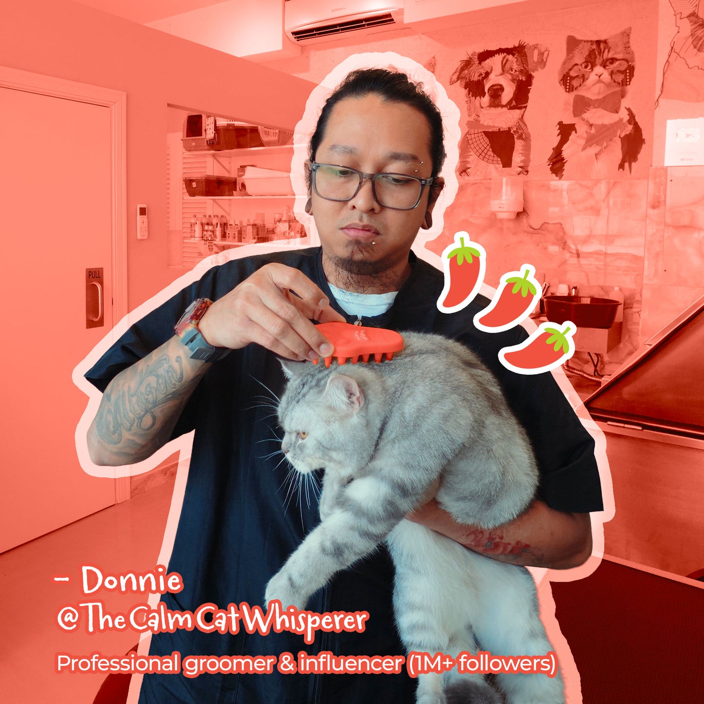 Bailey Brush™ Calm Cat Whisperer Signature Series
