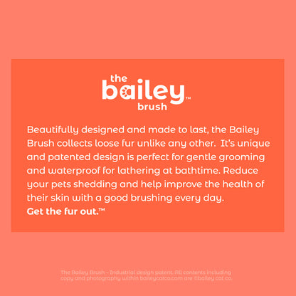 Bailey Brush™ Calm Cat Whisperer Signature Series