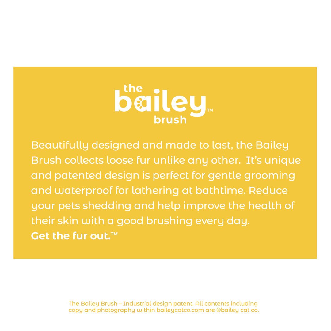 The Bailey Brush Silicone Dog Brush