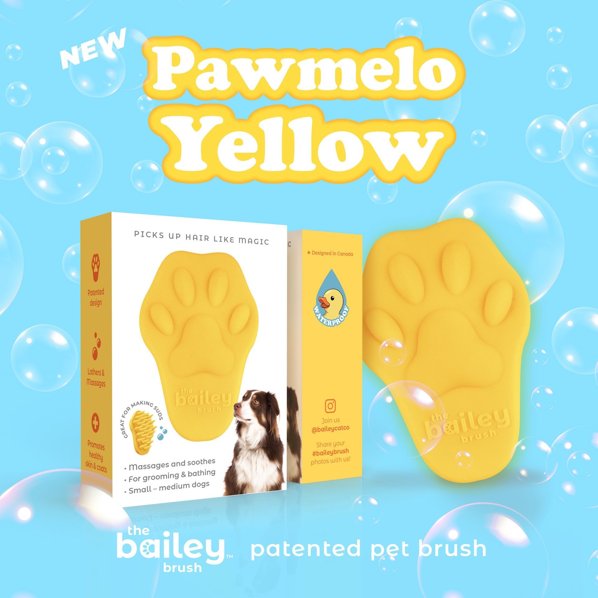 The Bailey Brush Silicone Dog Brush