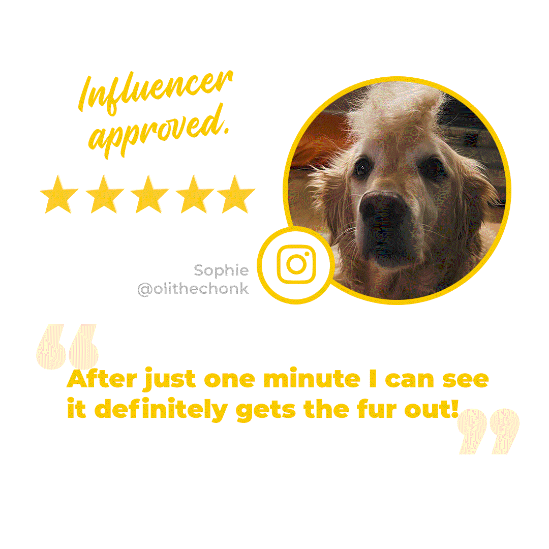 The Bailey Brush Silicone Dog Brush