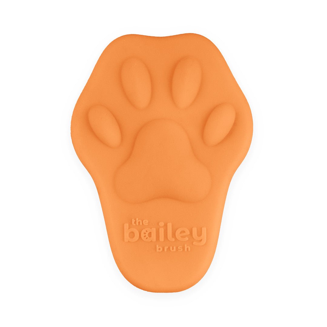 The Bailey Brush in Pawpaya Orange