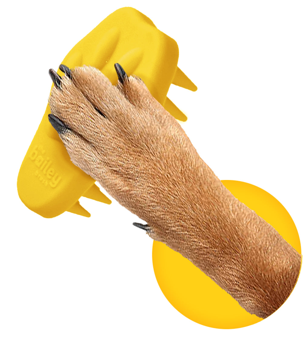 dog paw holding a bailey brush in pawmelo yellow