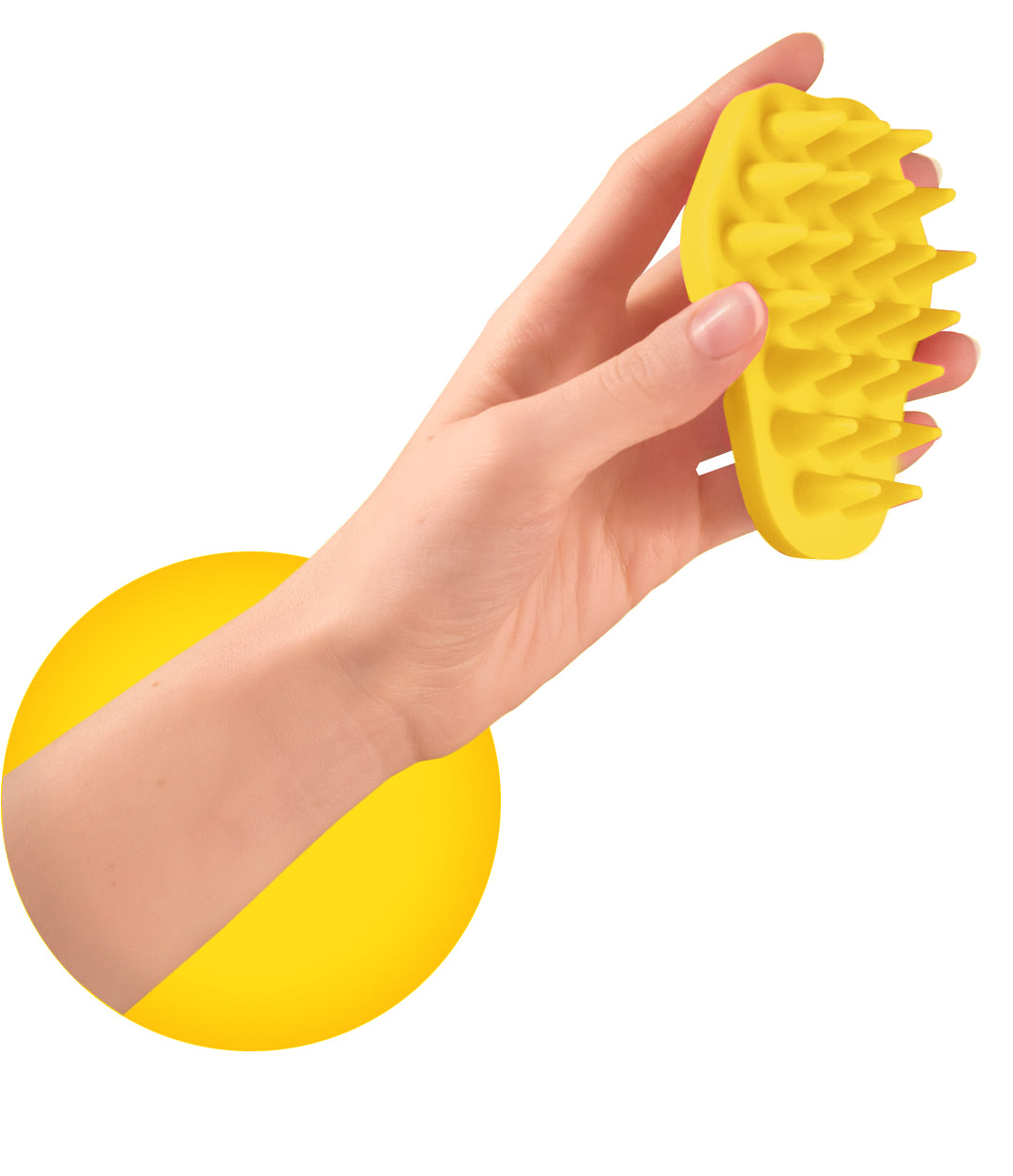 the best dog brush pet brush for shedding and grooming held in models hand