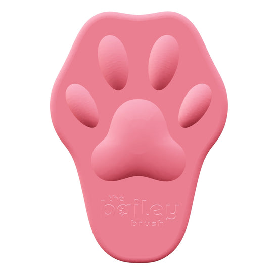 Bailey Brush 3D Model